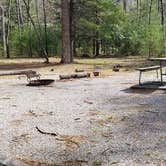 Review photo of Cades Cove Campground by Jean C., May 1, 2019
