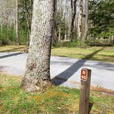 Review photo of Cades Cove Campground by Jean C., May 1, 2019