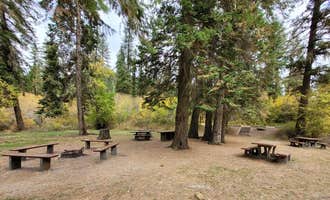 Camping near Walker Cabin: South Fork Group Site 5 - Nez Perce Nf (ID), Grangeville, Idaho