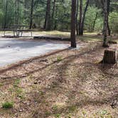 Review photo of Cades Cove Campground by Jean C., May 1, 2019