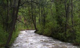 Camping near Three Creeks Reservoir: Ponderosa Picnic Area, Beaver, Utah
