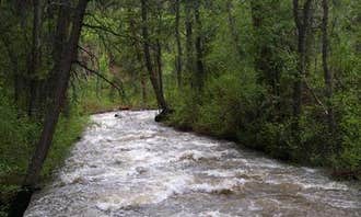 Camping near Fishlake National Forest City Creek Rec Site: Ponderosa Picnic Area, Beaver, Utah