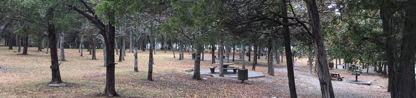 Camper-submitted photo at Smith Springs near Springfield, TN