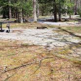 Review photo of Cades Cove Campground by Jean C., May 1, 2019