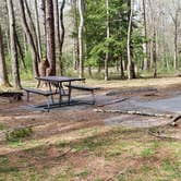 Review photo of Cades Cove Campground by Jean C., May 1, 2019