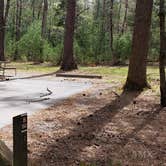 Review photo of Cades Cove Campground by Jean C., May 1, 2019