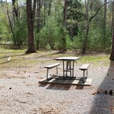 Review photo of Cades Cove Campground by Jean C., May 1, 2019