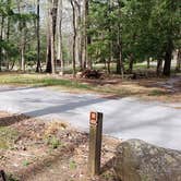 Review photo of Cades Cove Campground by Jean C., May 1, 2019