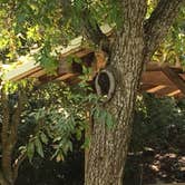 Review photo of Blanco State Park Campground by Shelly S., August 29, 2016