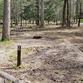 Review photo of Cades Cove Campground by Jean C., May 1, 2019