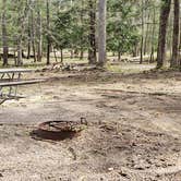 Review photo of Cades Cove Campground by Jean C., May 1, 2019
