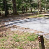 Review photo of Cades Cove Campground by Jean C., May 1, 2019