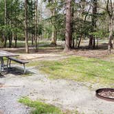 Review photo of Cades Cove Campground by Jean C., May 1, 2019