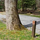 Review photo of Cades Cove Campground by Jean C., May 1, 2019