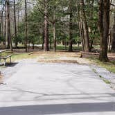 Review photo of Cades Cove Campground by Jean C., May 1, 2019