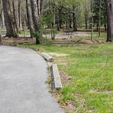 Review photo of Cades Cove Campground by Jean C., May 1, 2019