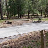 Review photo of Cades Cove Campground by Jean C., May 1, 2019
