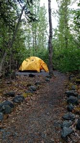 Camper-submitted photo at Exit Glacier Campground — Kenai Fjords National Park near Seward, AK