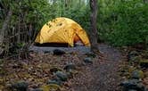 The Dyrt's photo at Exit Glacier Campground — Kenai Fjords National Park near Kenai Fjords National Park
