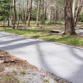Review photo of Cades Cove Campground by Jean C., May 1, 2019