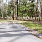 Review photo of Cades Cove Campground by Jean C., May 1, 2019