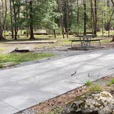 Review photo of Cades Cove Campground by Jean C., May 1, 2019