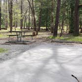 Review photo of Cades Cove Campground by Jean C., May 1, 2019