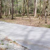 Review photo of Cades Cove Campground by Jean C., May 1, 2019