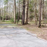 Review photo of Cades Cove Campground by Jean C., May 1, 2019