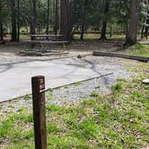 Review photo of Cades Cove Campground by Jean C., May 1, 2019