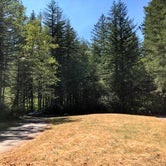 Review photo of Sunset Falls Campground by Corinna B., April 5, 2019