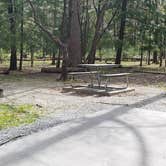 Review photo of Cades Cove Campground by Jean C., May 1, 2019