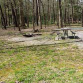 Review photo of Cades Cove Campground by Jean C., May 1, 2019