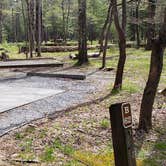 Review photo of Cades Cove Campground by Jean C., May 1, 2019
