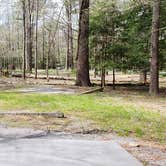 Review photo of Cades Cove Campground by Jean C., May 1, 2019