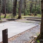 Review photo of Cades Cove Campground by Jean C., May 1, 2019