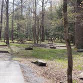 Review photo of Cades Cove Campground by Jean C., May 1, 2019