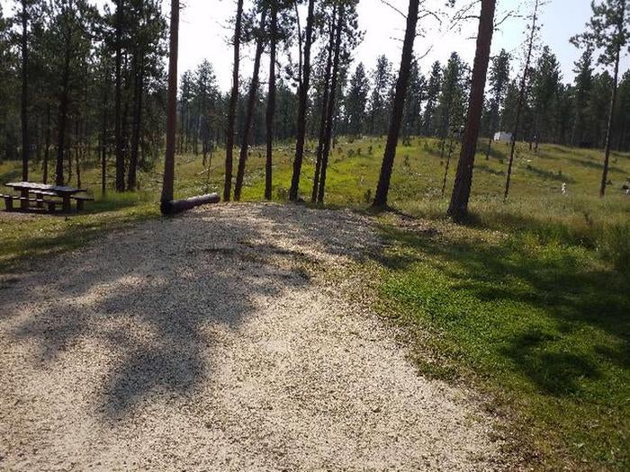 Camper submitted image from Black Hills National Forest Dutchman Campground - 2