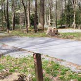 Review photo of Cades Cove Campground by Jean C., May 1, 2019