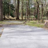 Review photo of Cades Cove Campground by Jean C., May 1, 2019