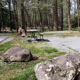 Review photo of Cades Cove Campground by Jean C., May 1, 2019