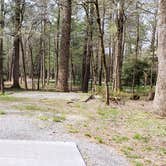 Review photo of Cades Cove Campground by Jean C., May 1, 2019