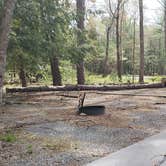 Review photo of Cades Cove Campground by Jean C., May 1, 2019