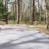 Review photo of Cades Cove Campground by Jean C., May 1, 2019