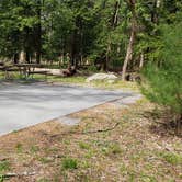 Review photo of Cades Cove Campground by Jean C., May 1, 2019