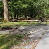 Review photo of Cades Cove Campground by Jean C., May 1, 2019