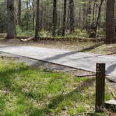 Review photo of Cades Cove Campground by Jean C., May 1, 2019