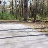 Review photo of Cades Cove Campground by Jean C., May 1, 2019