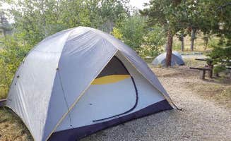 The Dyrt's photo at Kelly Dahl near Nederland, CO