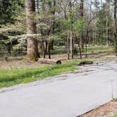 Review photo of Cades Cove Campground by Jean C., May 1, 2019